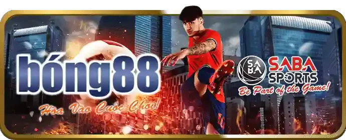 Giao diện cá cược trực tiếp may88